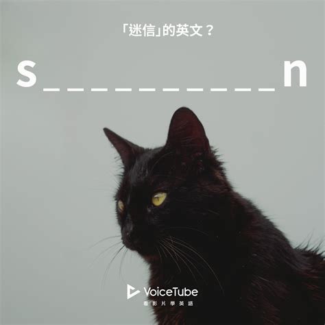 迷信 英文|迷信 : superstition, t... : mí xìn 